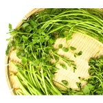 국내산 향긋한 생 미나리 한재미나리 돌미나리 불미나리 400g 1kg 청도 : 제철알림