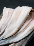통영 자연산 최상급 바다장어 1kg 손질 후 650g 내외 장어 붕장어 아나고 장어구이 : 바래길농수산