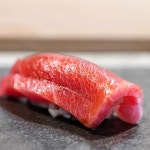 냉동 참치회 눈다랑어외 뱃살 속살 500g : 참치몰