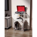 LP판 턴테이블 수납장 아크릴 거치대 선반 꽂이 보관 다이 투명 조립식 A : 냥글멍글스토어