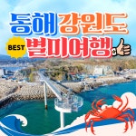 와우부산여행사[부산출발]  동해+강원도 별미여행 1박2일테마여행 버스투어 패키지 : 와우부산여행사