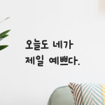 인테리어 귀여운 손글씨 레터링 스티커 오늘도 네가 제일 예쁘다 LMM-088S 검정 : 모노먼트