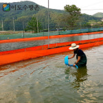 이도수향촌 프리미엄 추어탕 해장국 500g : 이도수향촌