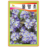 물망초씨앗 물망초씨 200립 2000립대포장 꽃씨 꽃씨앗 야생화 종자 : 팜앤리빙