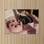 [몽쁘띠샤] 고양이 엽서 - 체리 케이크 gâteau aux cerises : 몽쁘띠샤