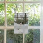 [몽쁘띠샤] 고양이 엽서 - 평화로운 아침 Une matinée paisible avec un chat : 몽쁘띠샤