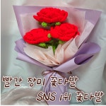 [포도밭]장미꽃다발 장미인형꽃다발 빨간장미꽃다발 졸업식꽃다발 유치원꽃다발 : 포도밭