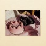 [몽쁘띠샤] 고양이 엽서 - 체리 케이크 gâteau aux cerises : 몽쁘띠샤