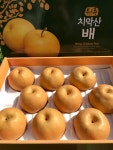 [대성농원] 2024 강원도 치악산 신고배 5kg : 치악산 대성농원