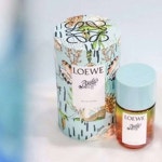 로에베 폴라스 이비자 EDT 50ML : 화니앤주
