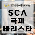 SCA 국제 바리스타 : 제주바리스타커피학원
