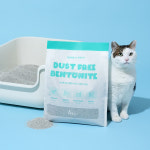 본아페티 프리미엄 고양이 벤토나이트 응고력 탈취력 좋은 먼지 없는 모래 6kg, 1개 : 본아페티