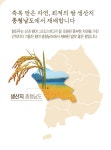 [신품종] 서산 향진주 20kg 누룽지향 서산 향미 건강한 쌀 맛있는 쌀 : 서산 향미