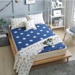 [곰표한일] 세탁가능 무자계 전기요 스타블루(3종 택1) : 미니비상점