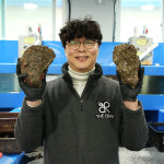 제철 거제 바위굴 5kg 10kg 각굴 석굴 굴회 굴찜 구이 : 더꽃게