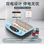 자동 부화기 계란 오리 메추리 병아리 닭 키우기 스마트 부화기 6개 : 꾸다만물상
