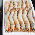 제철 태안 자연산대하 1kg 생물 냉동 왕새우 대하 : 더꽃게