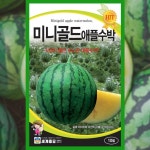 수박 씨앗 10립 미니 골드 애플수박 종자 과일 : 파머씨드