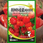 청양고추 씨앗 10립 하바네로 파이어 고추 종자 : 파머씨드