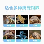 파충류 사육장 거북이 부화기 육지거북이 램프 용품 도어 애완용 흰색 40x30x30 2등 : 하누리샵