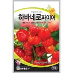 청양고추 씨앗 10립 하바네로 파이어 고추 종자 : 파머씨드
