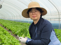 모듬 샐러드 야채 캠핑용 소포장 쌈야채 200g이상 (5종) : 양평희망농장