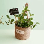 화분 팟 커버 화분 커버 : 드림지기샵