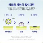 리포좀 식물성 멜라토닌  2mg함유 닥터슬립웨이 30정 약국판매 : 대성메디칼