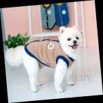 일비 에브리 강아지퀼팅조끼 블루 애견 겨울 조끼 베스트 강아지 : 이비스마트
