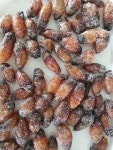 [미더덕조합]창원 진동 미더덕 5kg (냉동) : 미더덕영어조합법인