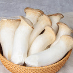 새송이버섯 2kg : 백미양식