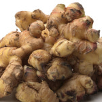 알싸한 달큰함 건강한 국내산 제철 햇 생강 특품 : 익산원예농협 농협이마켓