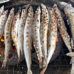 [힘찬열매] 반건조 양미리 급냉 제철 20미 1두름 : 캠핑 운동화