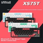 HELLO GANSS XS 75T 기계식 키보드 3 가지 모드 무선 E 스포츠 게이밍 키보드 RGB  스왑 개스킷 PC 게이머 액세서리 Win : 엔코아물류