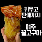 [맛보장] 24년 여주 고구마 3kg 5kg 10kg 친환경 꿀고구마 베니하루카 : 그린농업회사법인