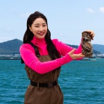 완도 활전복 1kg 생산자직송 당일작업 꼬마전복 횟감용 구이 찜 : 완도남매수산