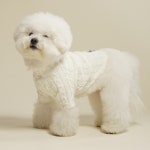 꽈배기 니트 터틀넥 TURTLENECK 강아지 고양이 반려동물 옷 편한 티셔츠 목티 : 티엘오