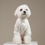 꽈배기 니트 터틀넥 TURTLENECK 강아지 고양이 반려동물 옷 편한 티셔츠 목티 : 티엘오