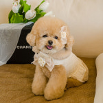 펫츠앤미 강아지패딩 하네스 코코 퍼 패딩 아이보리 XS : 펫츠앤미스토어