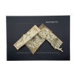 건조 자작나무 껍질 원물 Betula platyphylla japonica 100g : 주식회사 바이어브릿지