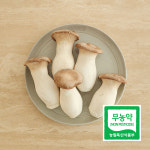 [시즌오프] 당일수확 당일발송 새송이버섯 특등급 2kg : 모던한담