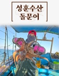 [성훈수산] 산지직송 당일조업 통영 돌문어 : 통영 성훈수산