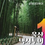 울산택시투어 핫플레이스 택시투어 자유여행 : 돌고래여행사-돌핀스토어