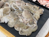 쭈삼새 폭탄 새우 삼겹살 주꾸미 쭈꾸미 쭈삼 : 자연애수산
