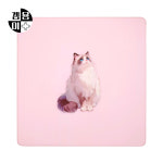 겜용이 GB 고양이 밸런스 슬라이딩 게이밍 마우스패드 코코, XL (50cm x 50cm) : 오버시스템