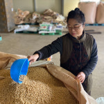 만수농장 국산 대두 메주콩 백태 2kg : 익산시 마을전자상거래지원단