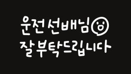 [고니소] 공손한/친절한/착한 왕초보 초보운전 자동차 스티커 차량용 스티커 배려감사합니다 스티커 : 고니소