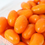 [햇님농장] 국내산 노랑 주황 대추방울토마토 1.5kg/3kg내외 : 햇살가득 햇님장터