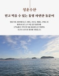 [성훈수산] 산지직송 당일조업 통영 돌문어 : 통영 성훈수산