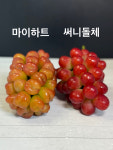 써니돌체 마이하트 씨 없는 포도 (2kg 3수 내외) 고당도 샤인머스켓 신품종 제철과일 : 슬로우잼 SLOW JAM